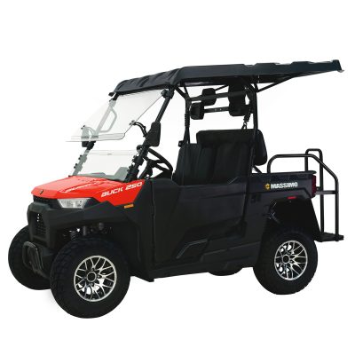 BUCK 250
