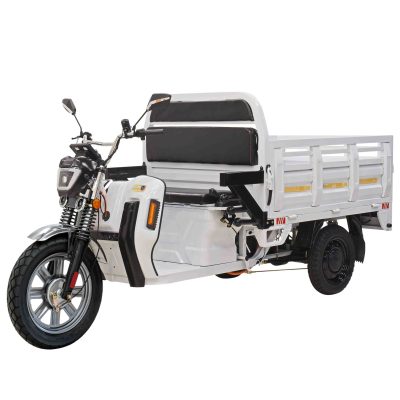 Cargo Max E-Trike