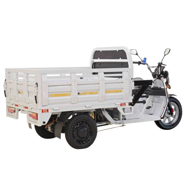 Cargo Max E-Trike - Image 4