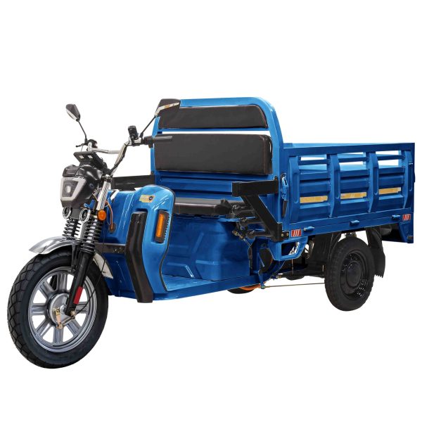 Cargo Max E-Trike - Image 3