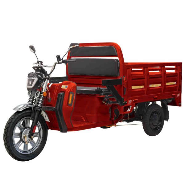 Cargo Max E-Trike - Image 2