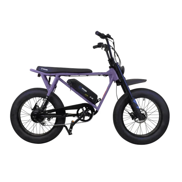 E-15 ROCKY E-BIKE - Image 2